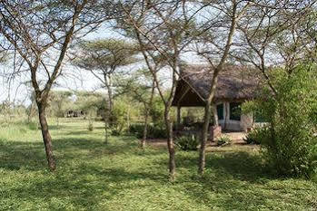 Robanda Tented Camp エクステリア 写真